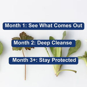 The Viral Gut Cleanse